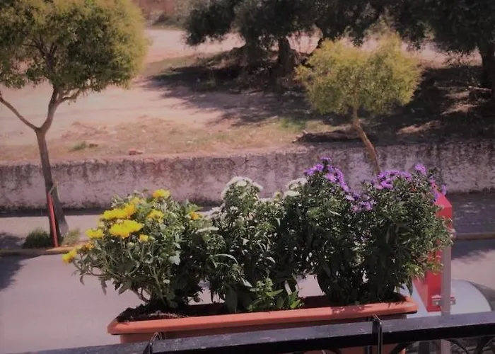 La Campina Хостел