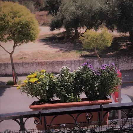 La Campina Хостел